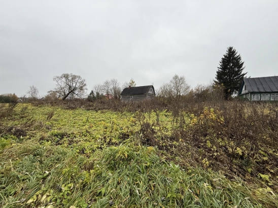 Участок 10.7сот. в дер.Плесенское