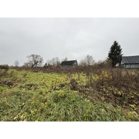 Участок 10.7сот. в дер.Плесенское