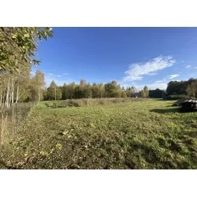 Участок в дер. Любаново