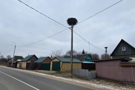 Продам участок в д. Болдаково!