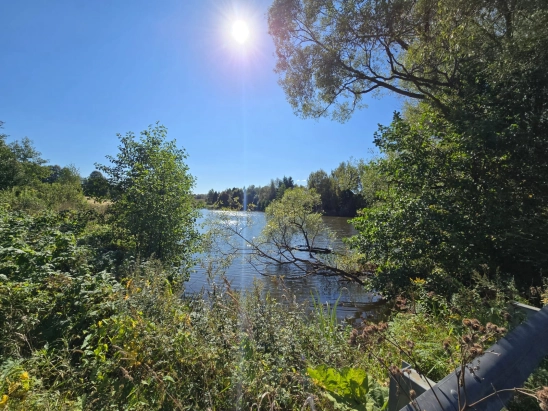 Продажа  участка в СНТ "СПАЙК"