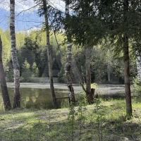 Участок 12 сот. с видом на озеро