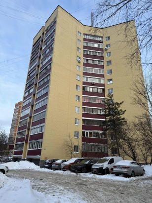 Аренда 1 ком. кв. в пос. Селятино