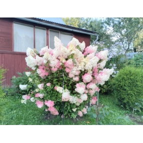 Дом в деревне под ипотеку!