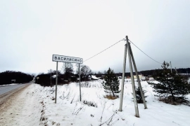 Участок 15 сот. в д. Василисино