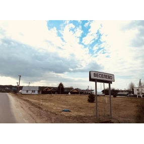 Участок 25 сот. в дер. Веселево